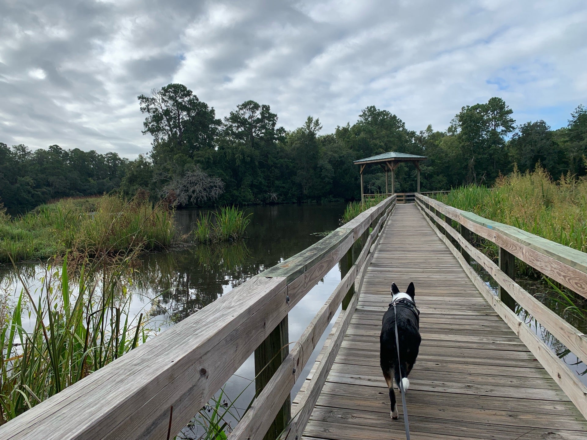 Ashley River Boat Landing, 19641978 County Rd S, Summerville, SC