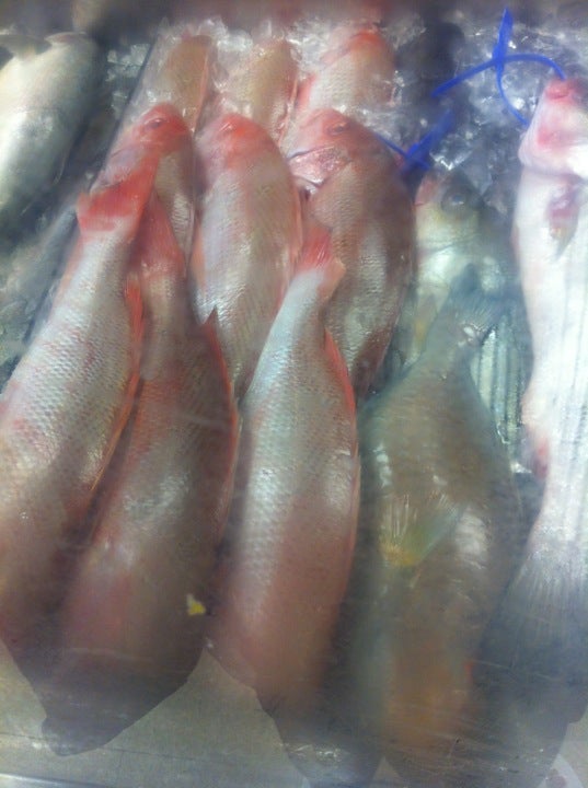 Cirelli Foods, 970 W Chestnut St, Brockton, MA, Grocery Stores MapQuest