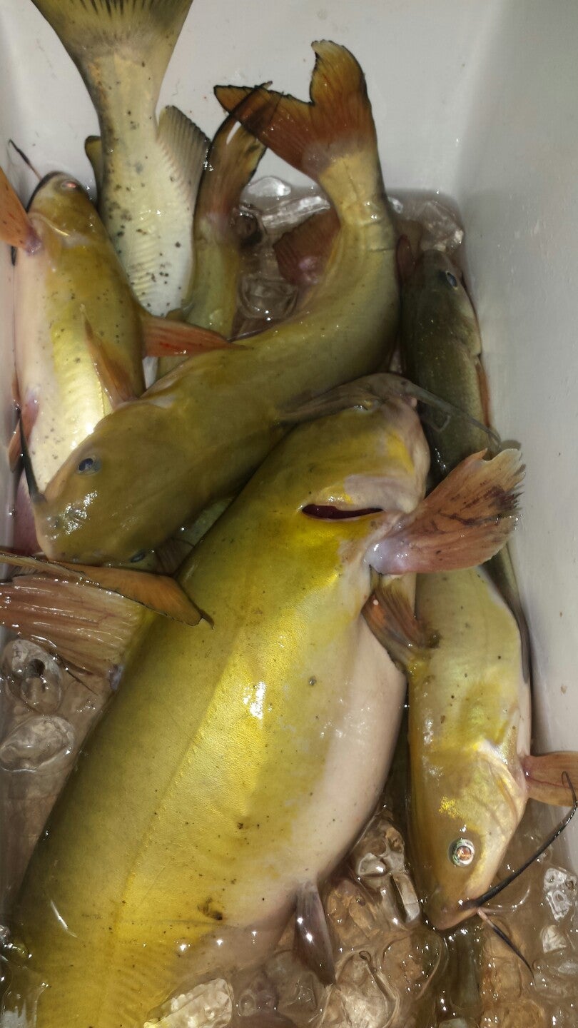 Perryville, MD Map & Directions MapQuest