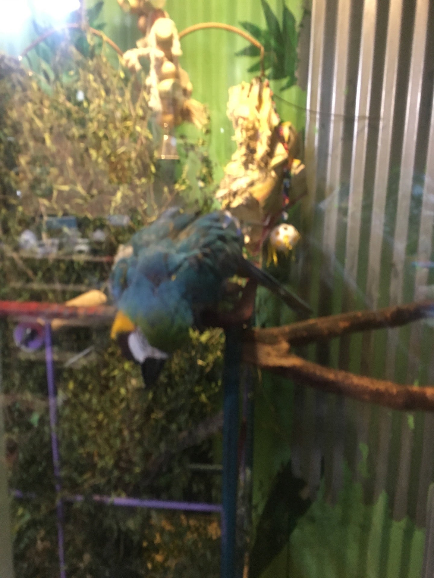 Fort Garland, CO Map & Directions MapQuest