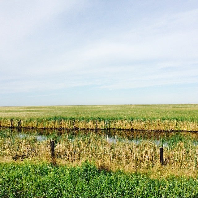 Anahuac NWR Main Entrance Visitor Info, Anahuac, TX, Landmark MapQuest