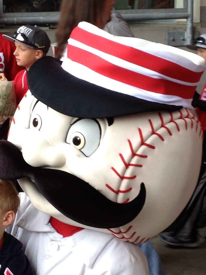 Mr. Redlegs, Cincinnati Reds mascot.  Baseball theme, Cincinnati reds  baseball, Cincinnati reds