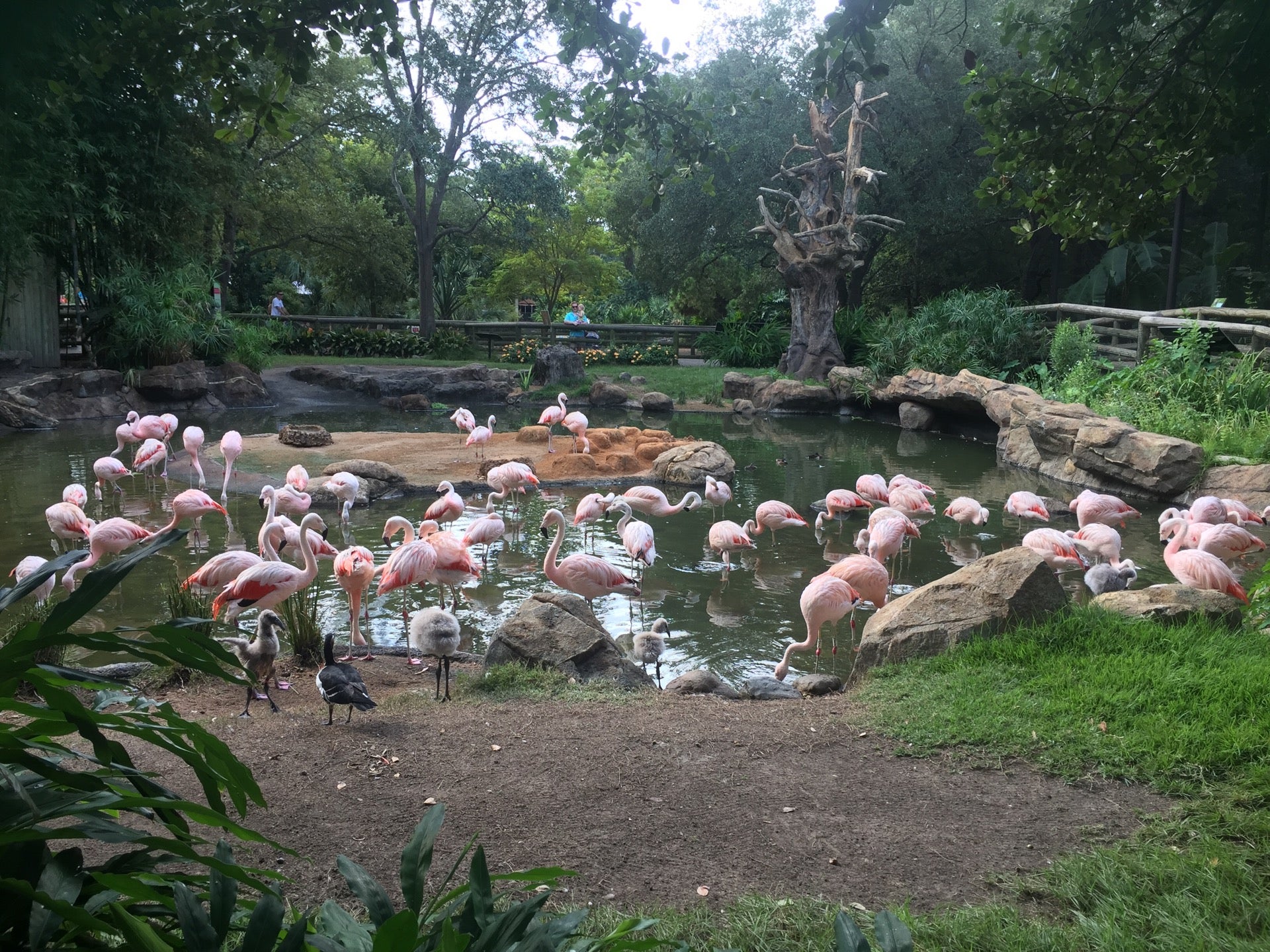 Reptile House, 6200 Hermann Park Dr, Houston, TX MapQuest