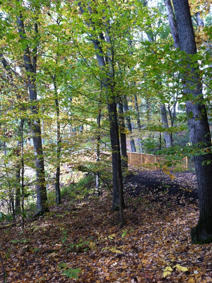 Fowler, MI Map & Directions MapQuest