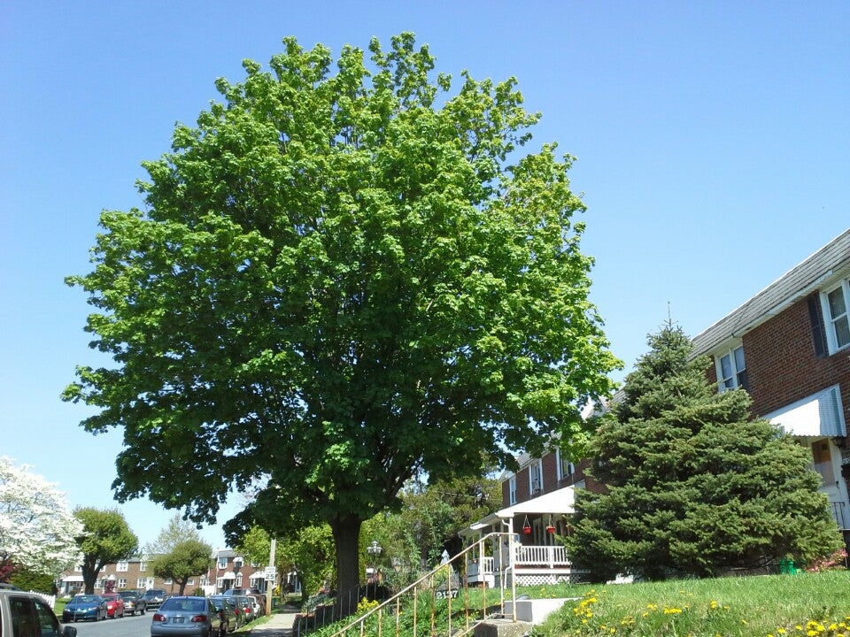 Waldheim Park Assn, 2400 S Hall St, Allentown, PA, Parks MapQuest