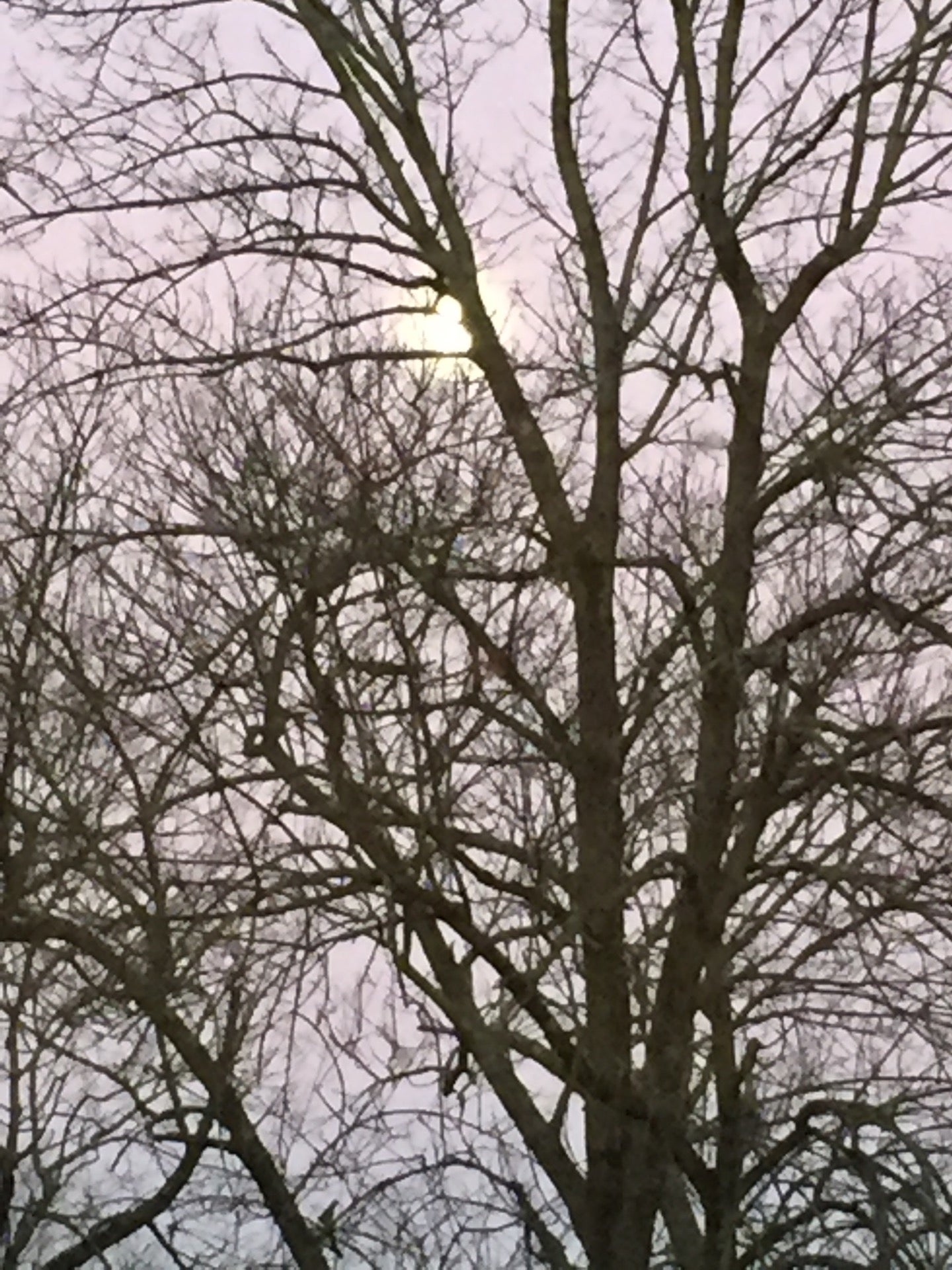 Village II Pool, 2 Rittenhouse Cir, New Hope, PA MapQuest