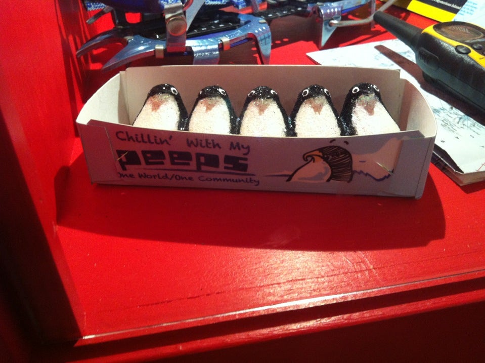 Mango Joe's Cafe, 7007 Sea World Dr, Orlando, FL, Eating places MapQuest