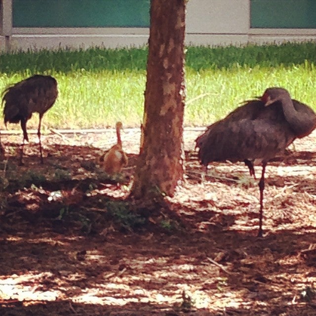 Metlife - CLOSED, 18210 Crane Nest Dr, Tampa, FL, Office & Desk Space ...