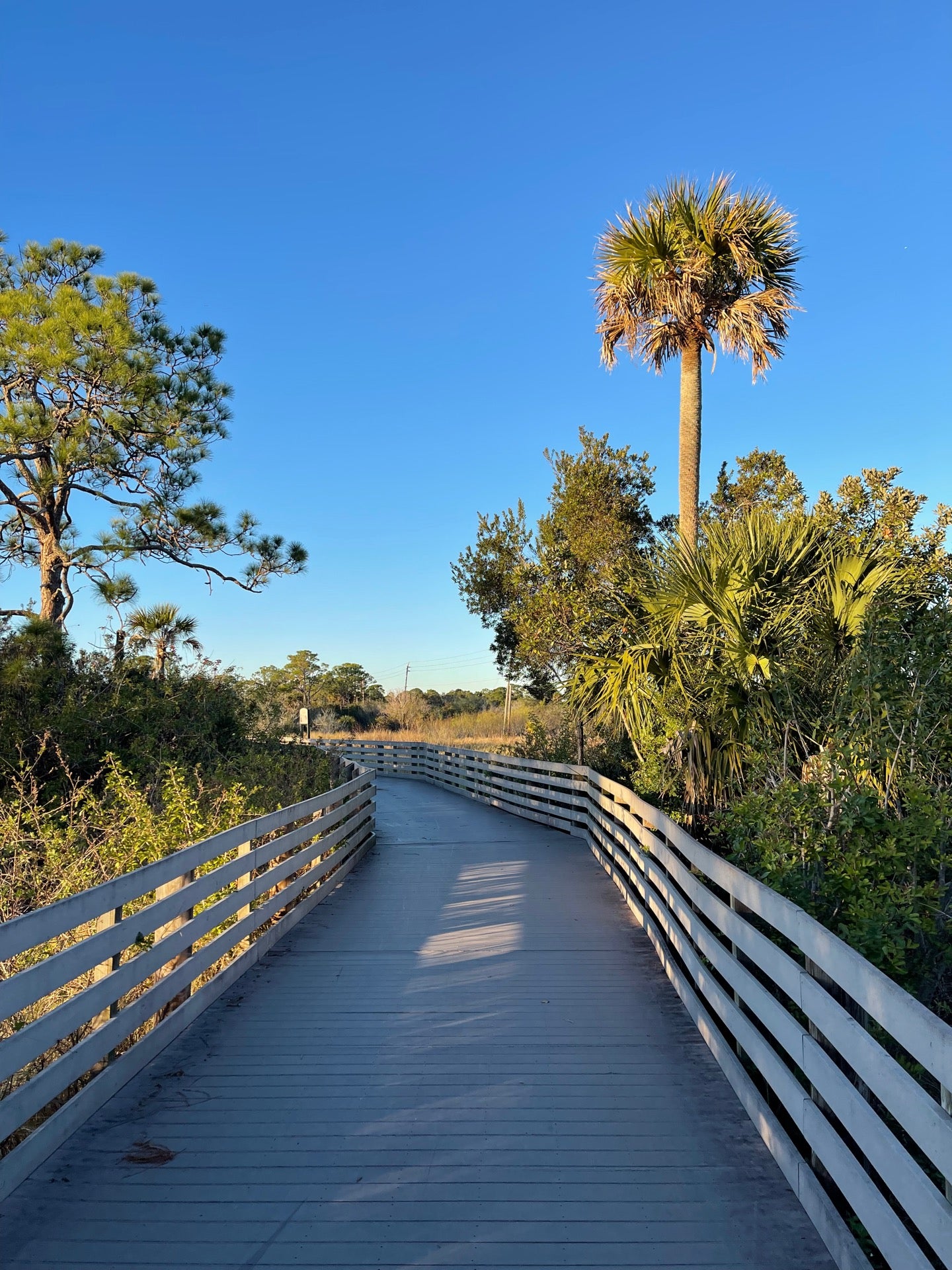 Brevard Zoo Linear Park, Melbourne, FL, Parks - MapQuest