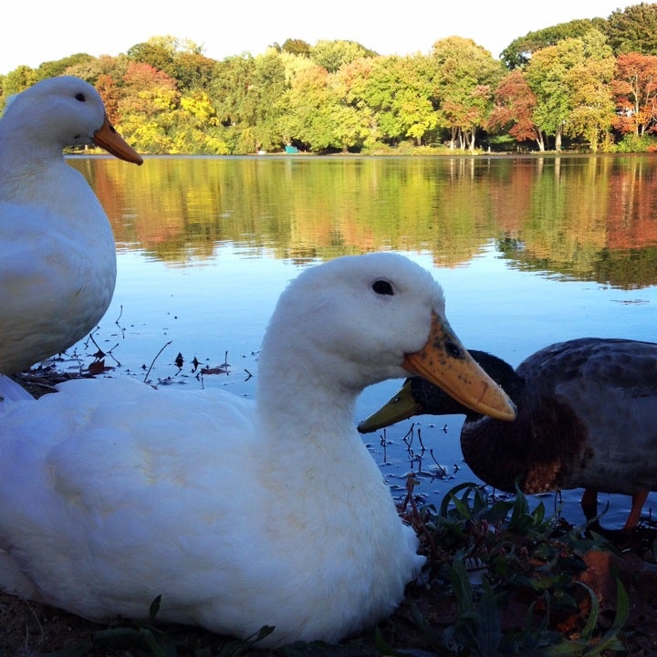 Eastport, NY Map & Directions MapQuest