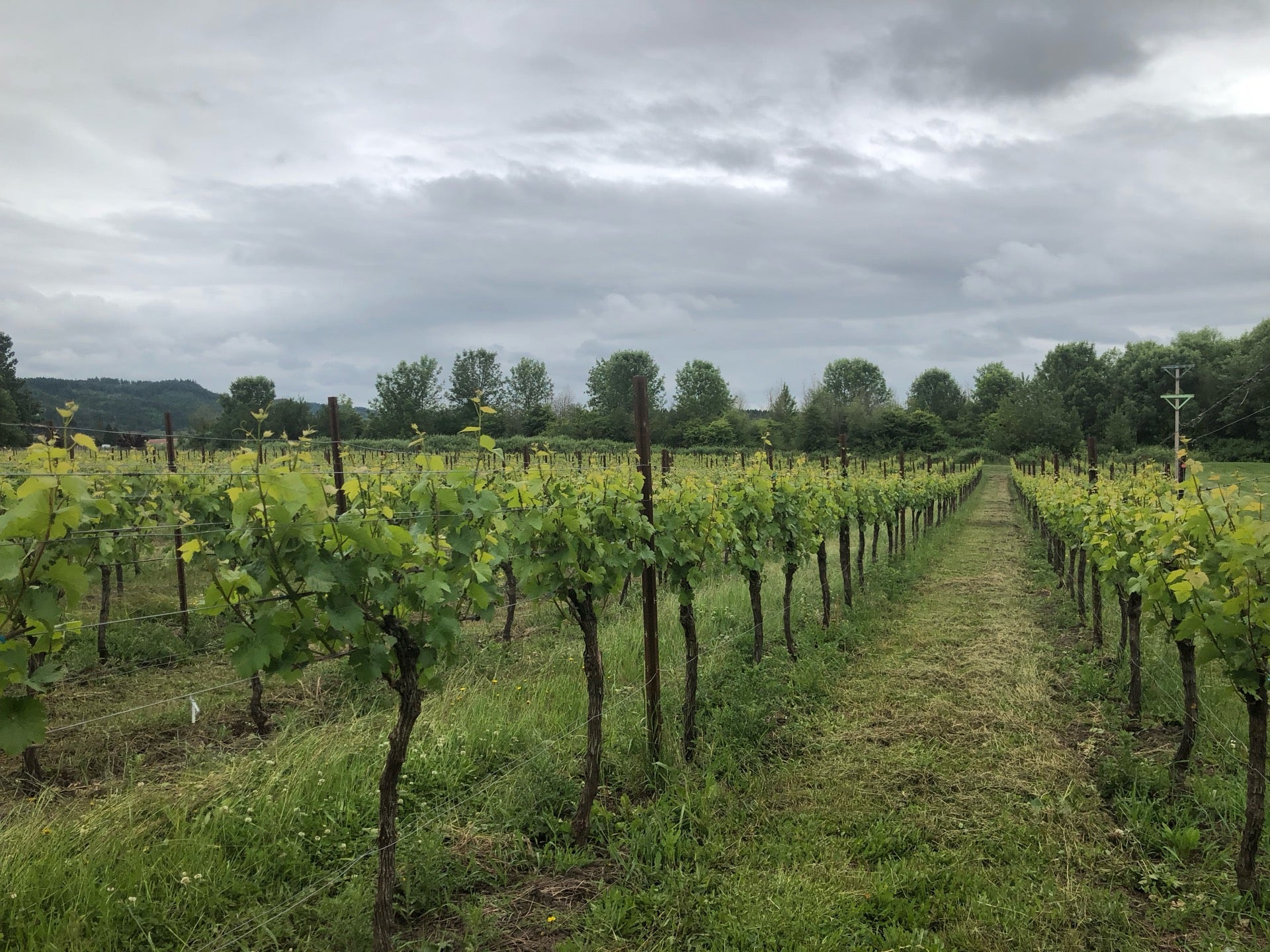 Amity, OR Map & Directions MapQuest