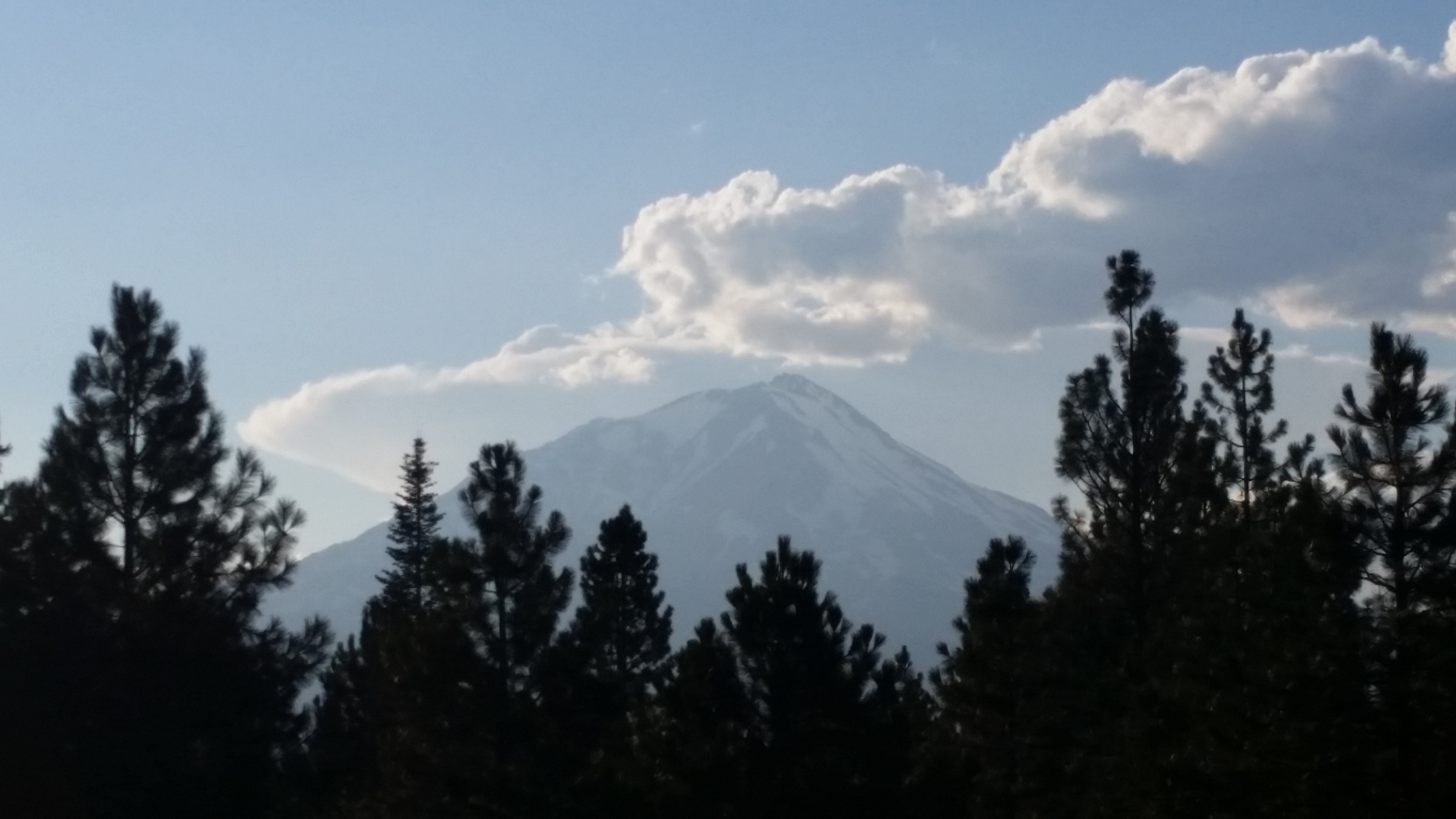 Cattle Camp Campground, Upper McCloud Riv, McCloud, CA, Campgrounds ...