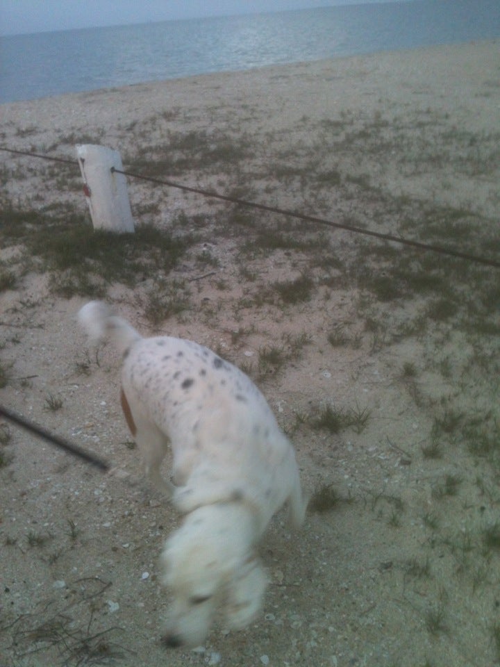 Magnolia Beach Public Beach, Magnolia Beach, TX MapQuest