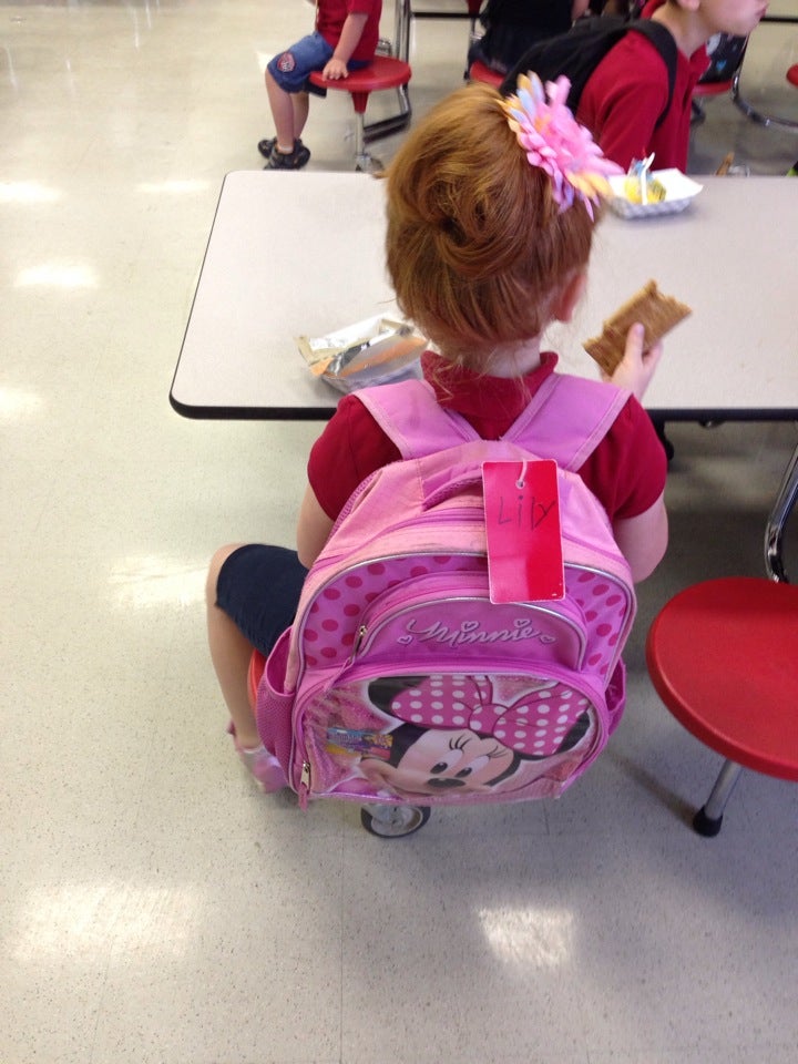 Mintz Elementary School, 1510 Heather Lakes Blvd, Brandon, FL, Schools