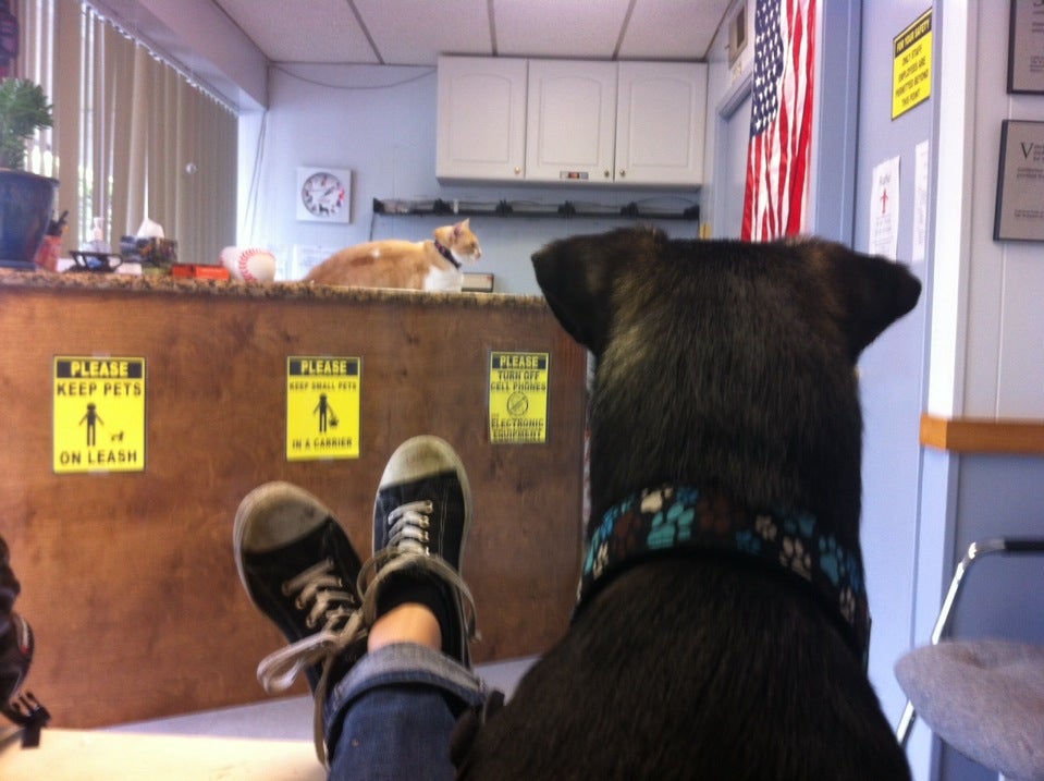 Presidio Veterinary Hospital, 5427 Linda Vista Rd, San Diego, CA MapQuest