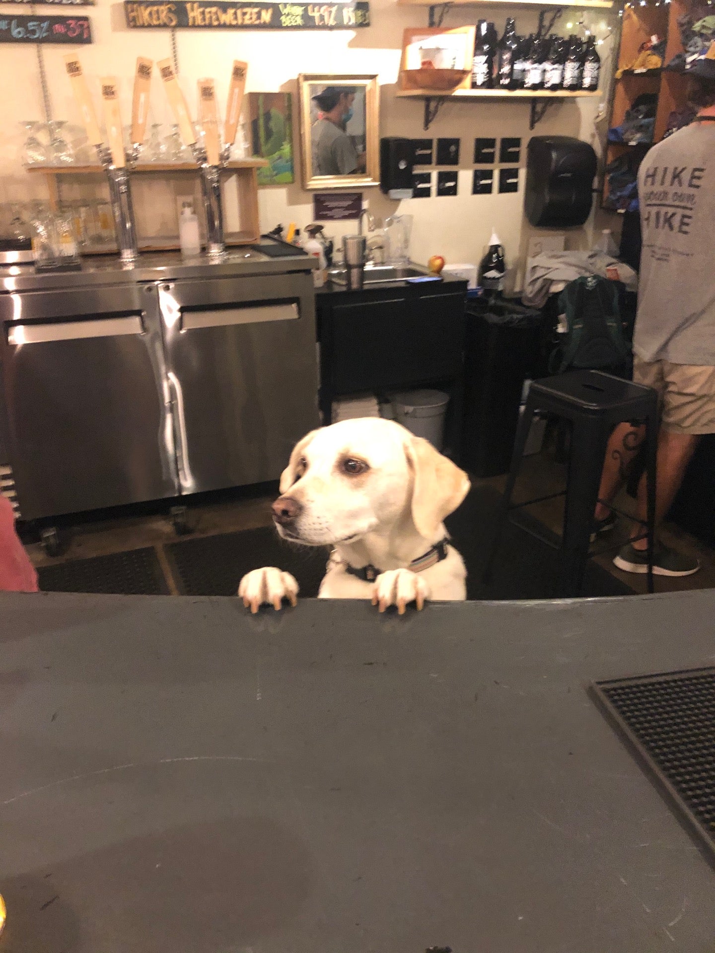 Sylva, NC Map & Directions MapQuest