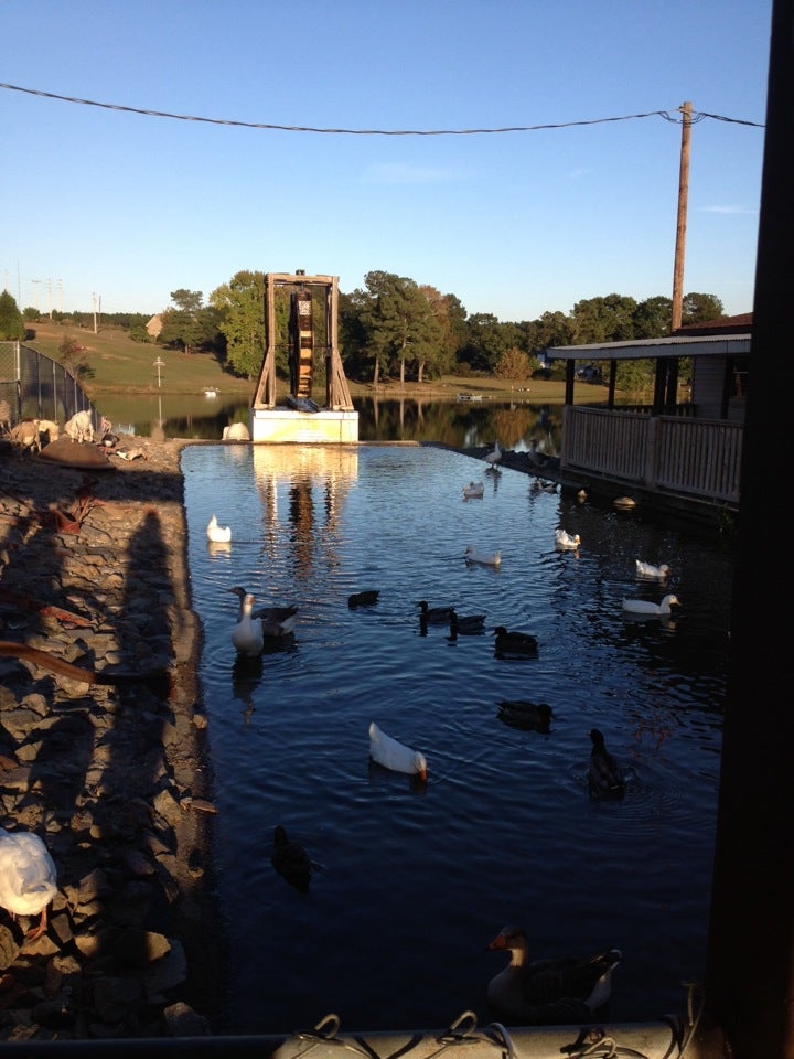 Old McDonald Fish Camp, 355 Currytown Rd, North Augusta, SC, Caterers