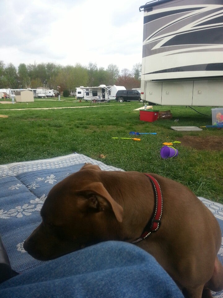Yogi Bear Jellystone Park Campground, Amboy, IL MapQuest