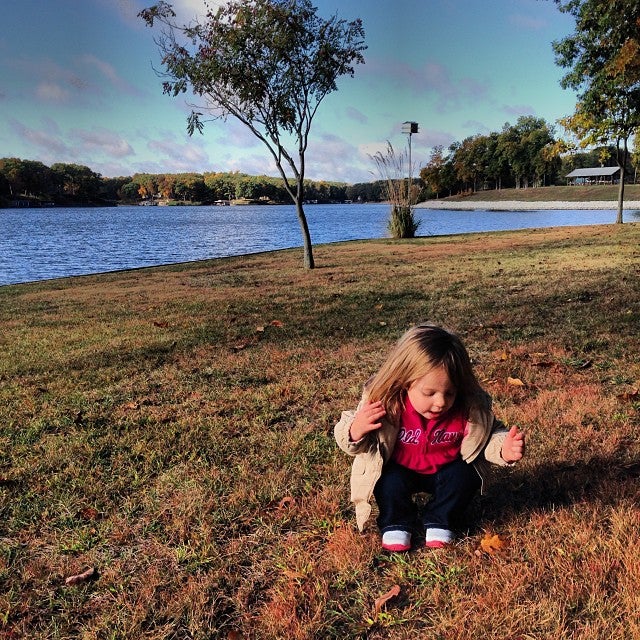 Altamont, IL Map & Directions MapQuest