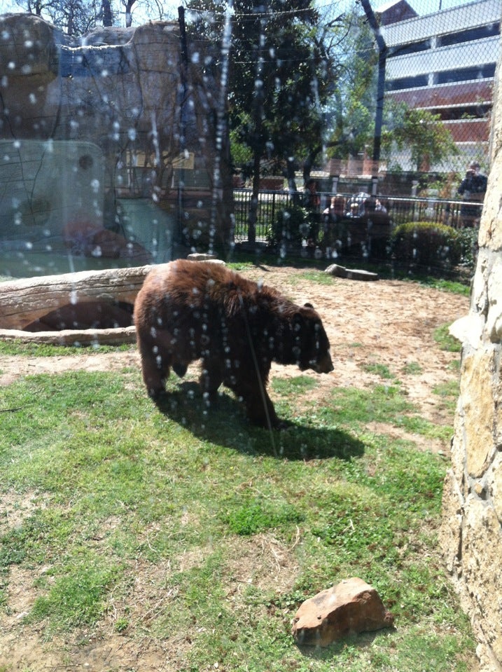 Baylor Bear Habitat