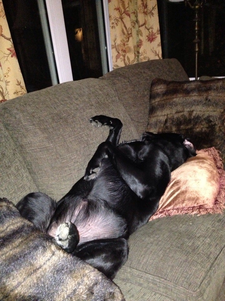 Cort Furniture, 15000 Conference Center Dr, Chantilly, VA 20151, US