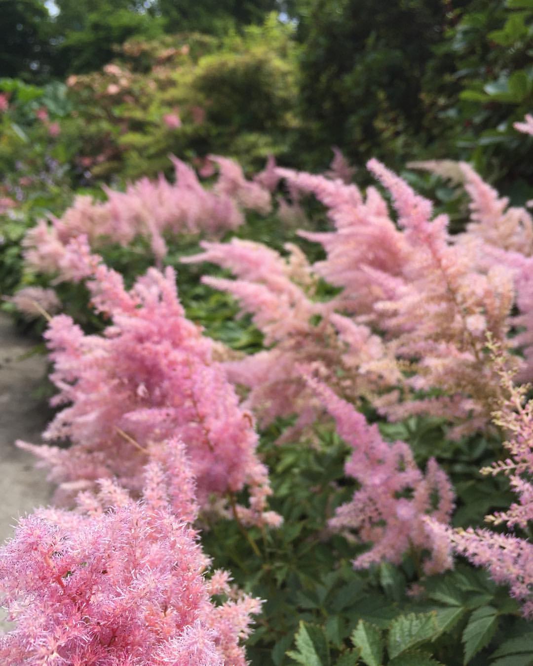 Stanley Park Pitch and Putt, 2099 Beach Ave, Vancouver, British