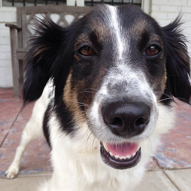 Amazon Fulfillment Center, 4055 New Allen Rd, Memphis, TN MapQuest