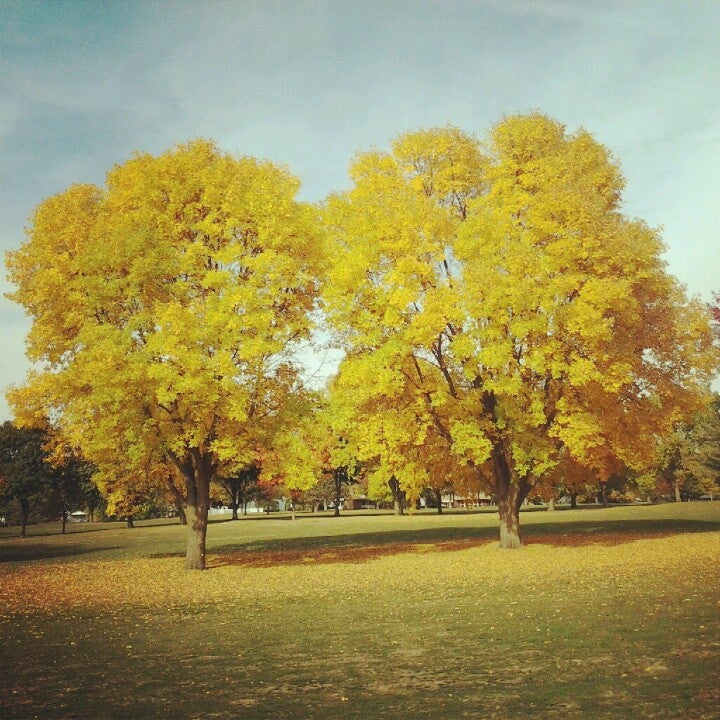 Cedar Pointe Golf Course, 601 S Cedar St, Boone, IA, Golf Courses