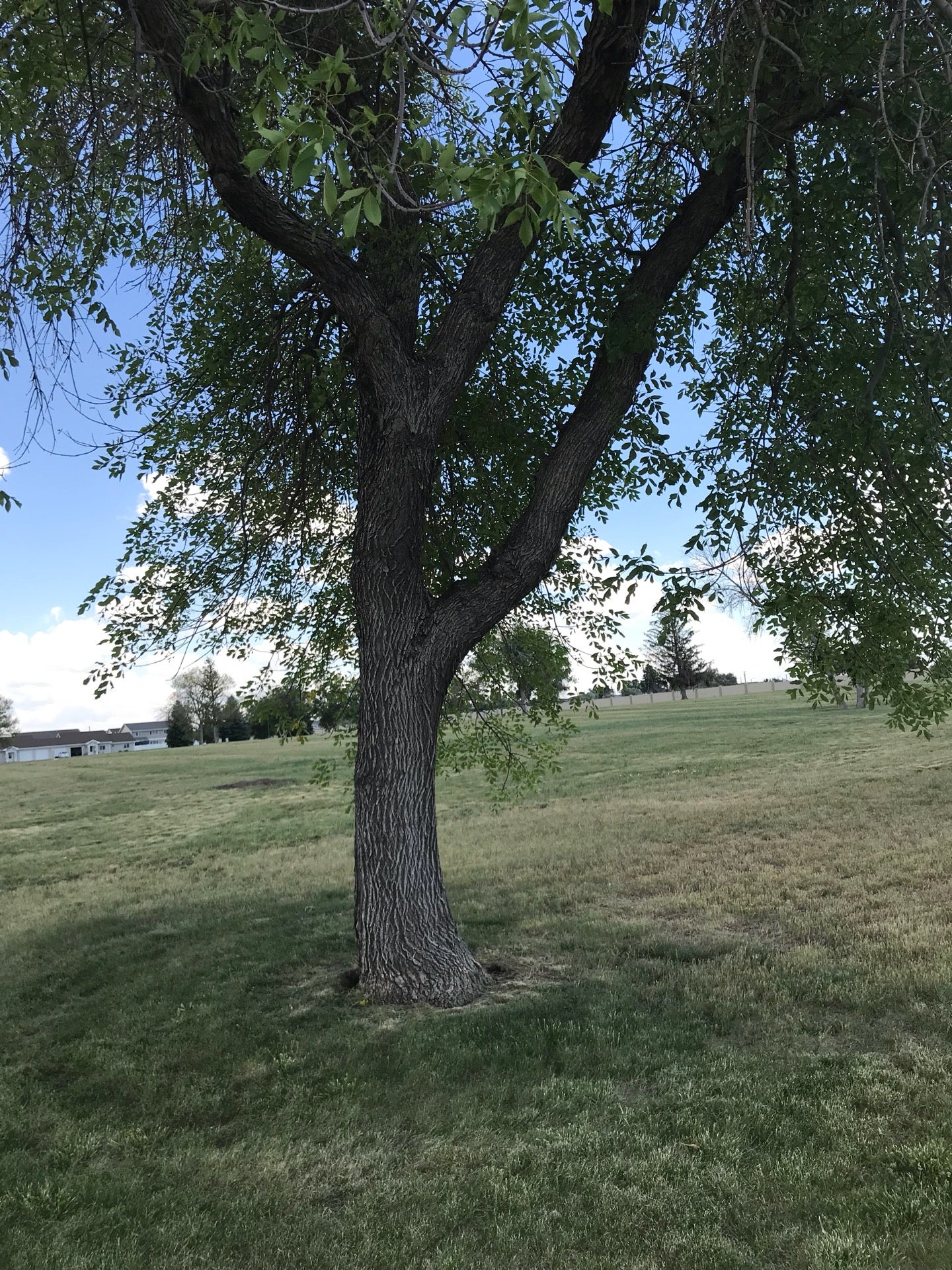 Malmstrom Air Force Base, Great Falls, MT, Military Bases MapQuest