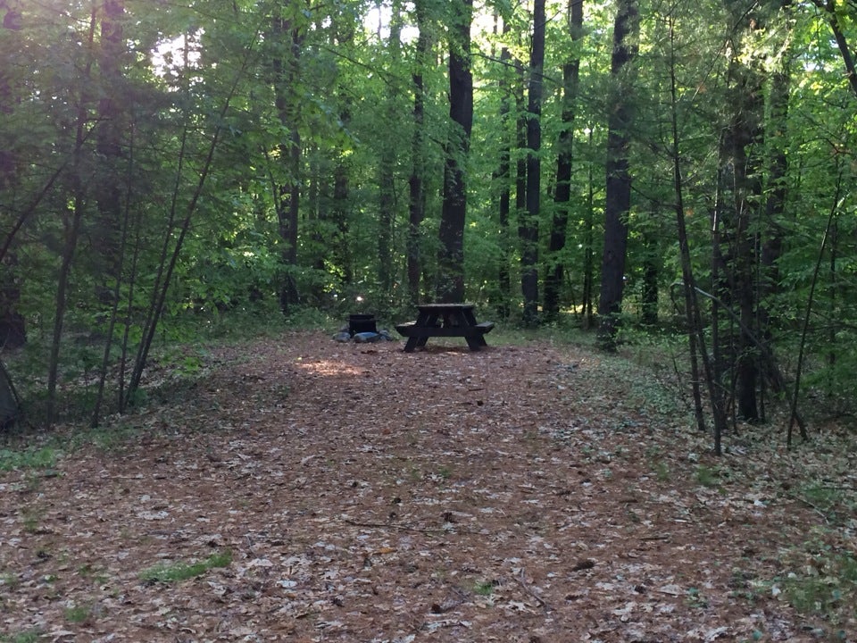 Wompatuck State Park Campground