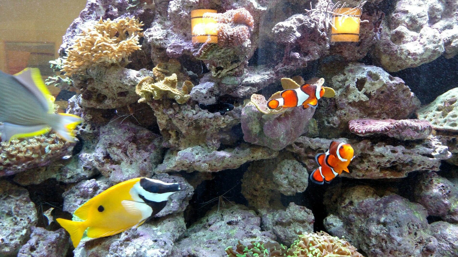 YaleNew Haven Diagnostic Radiology, 35 Park St, New Haven, CT