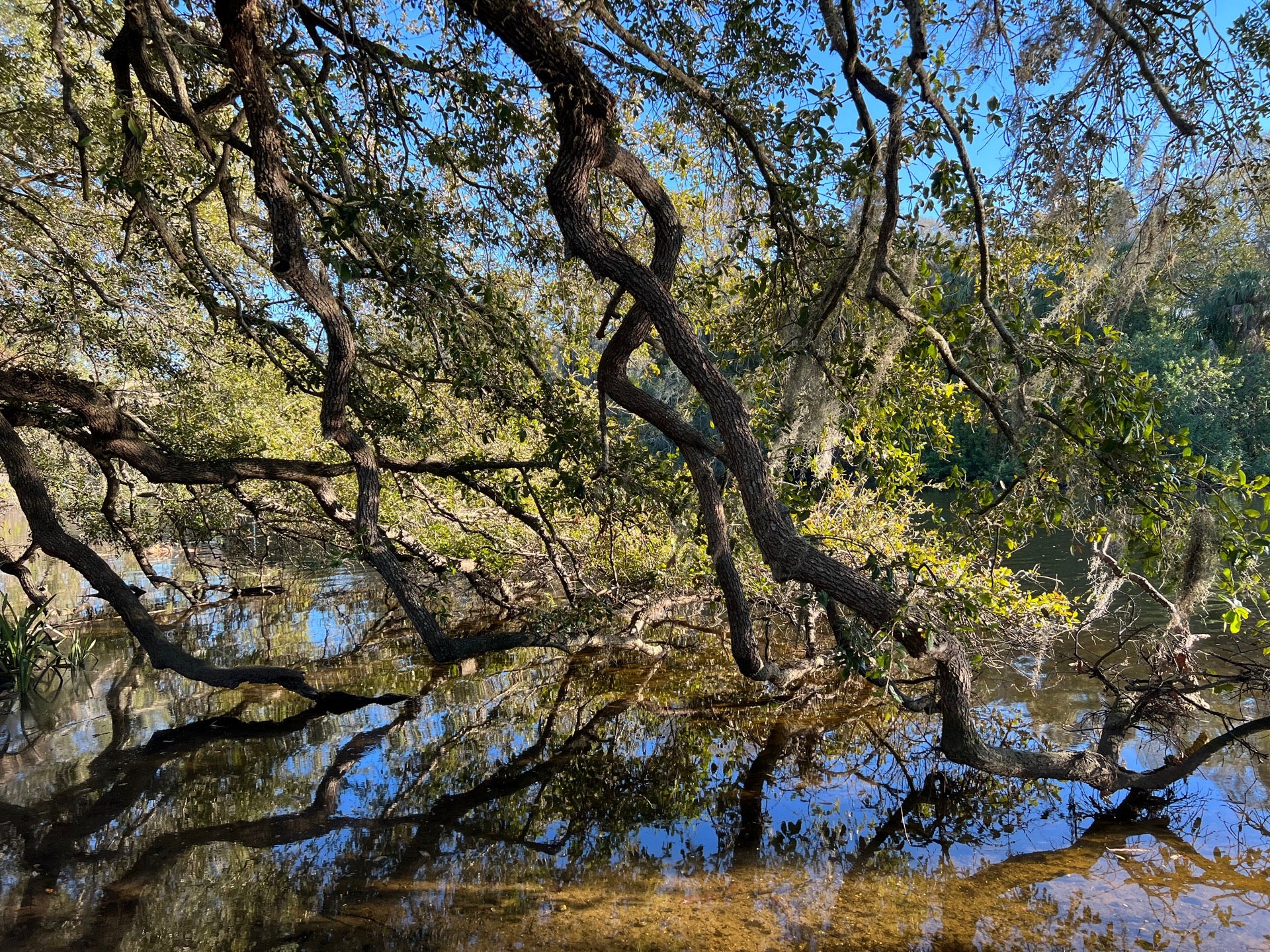 River Tower Park, 8105 N Florida Ave, Tampa, FL - MapQuest