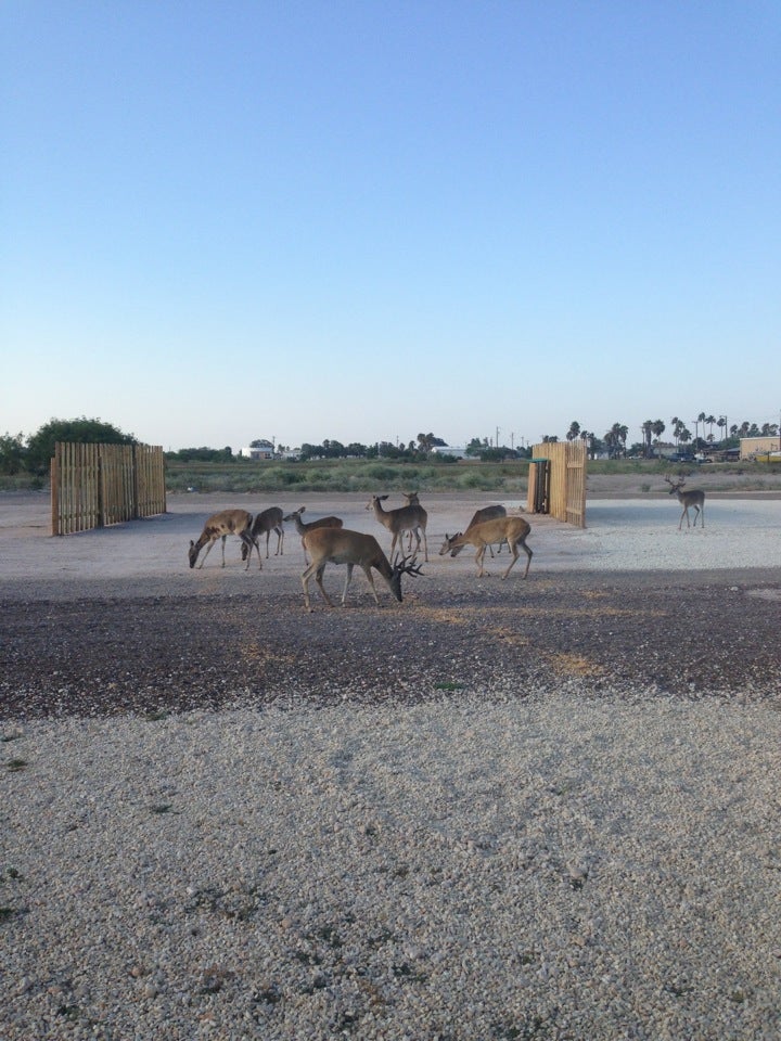 The Park at Port Mansfield, Port Mansfield, TX MapQuest