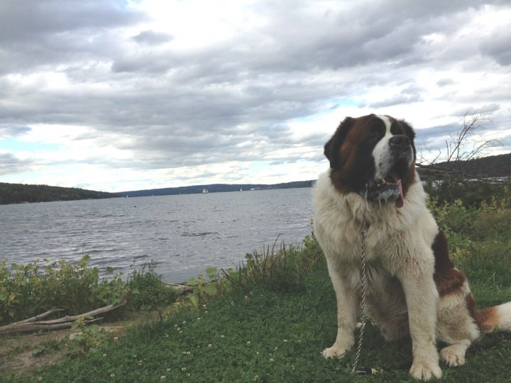 Lansing, NY Map & Directions MapQuest