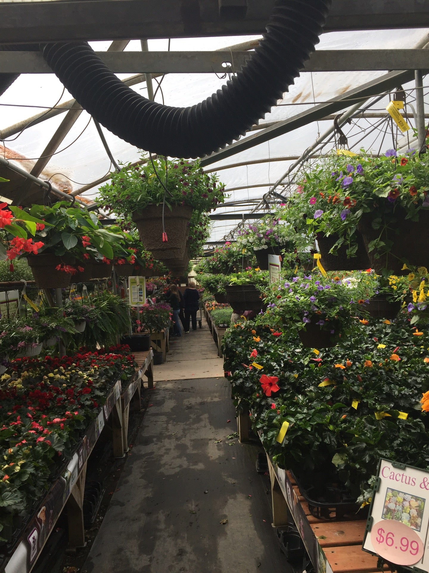 Kingsway Greenhouse, 111 Clarence Biesenthal Dr, Oshawa, ON L1K