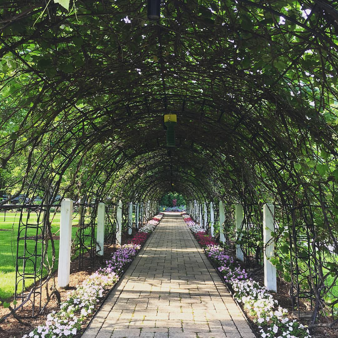 Christopher Farm and Gardens, W580 Garton Rd, Mosel, Town of, WI, Gardens -  MapQuest