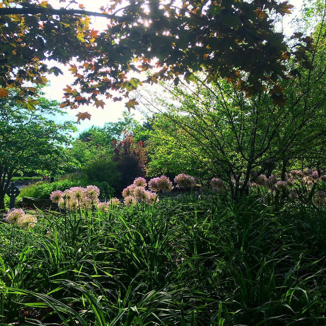Christopher Farm and Gardens, W580 Garton Rd, Mosel, Town of, WI, Gardens -  MapQuest