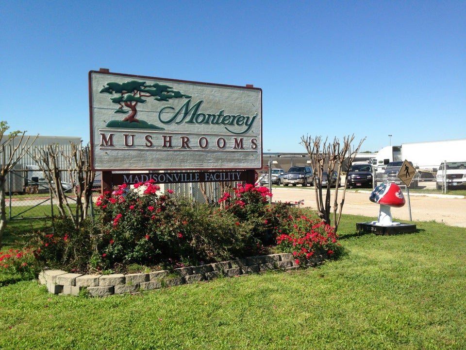 Monterey Mushrooms, 5816 Highway 75 S, Madisonville, TX, Services NEC