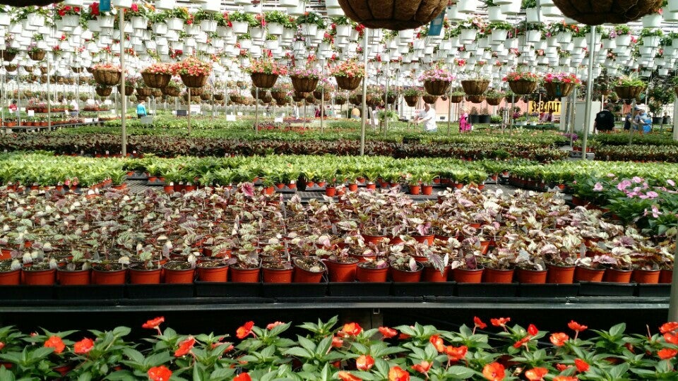 Gasko's Family Farms, 112 Federal Rd, Monroe Township, NJ, Food