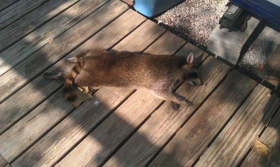 Churubusco, IN Map & Directions MapQuest