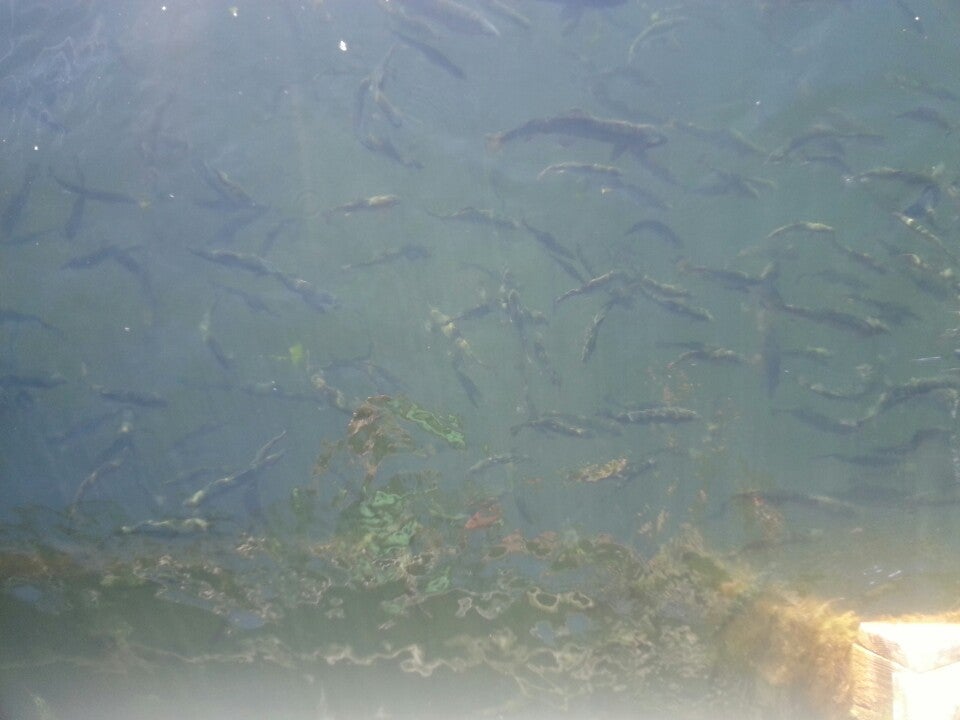 Gobles, MI Map & Directions MapQuest