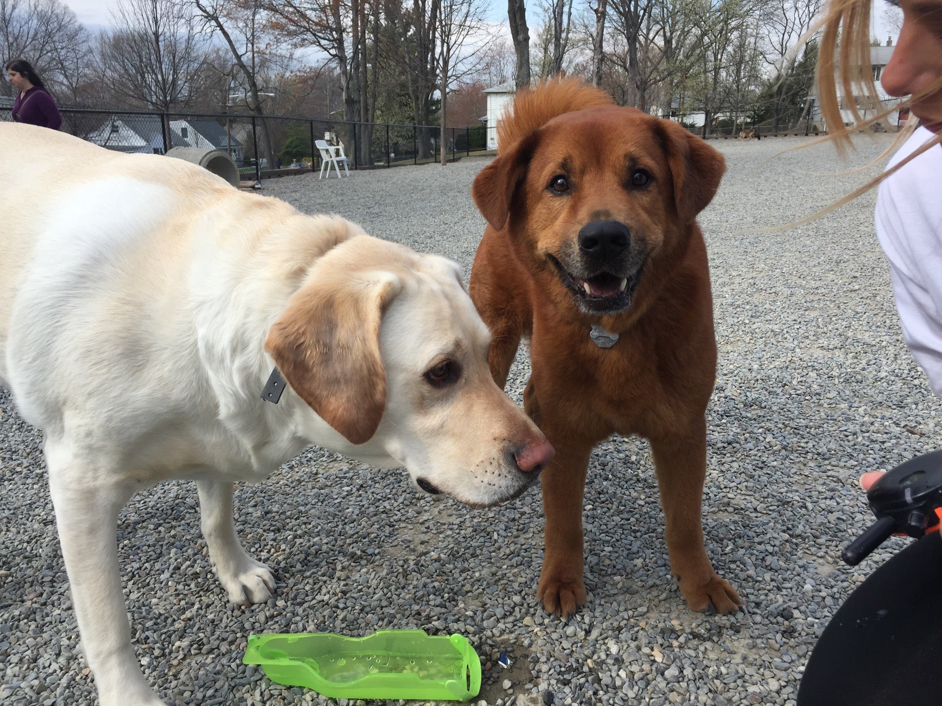 Maywood, NJ Map & Directions MapQuest