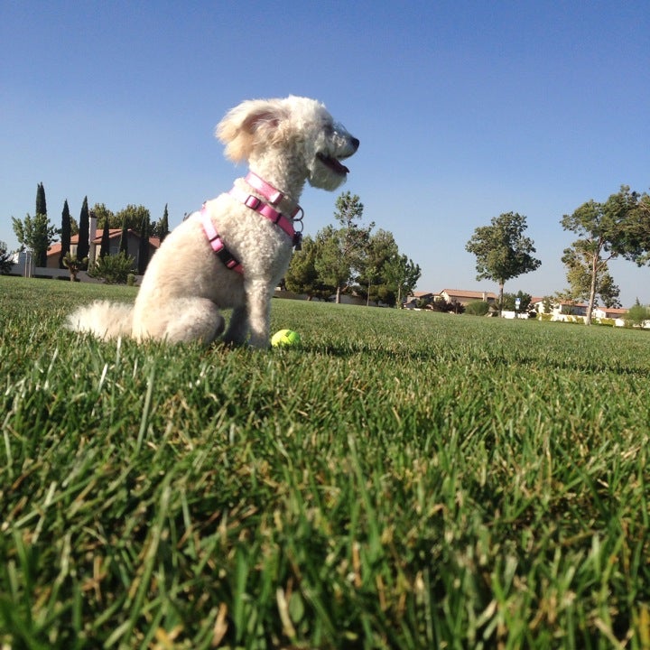 Eagle Ranch Park, 12587 Eagle Ranch Pkwy, Victorville, CA MapQuest