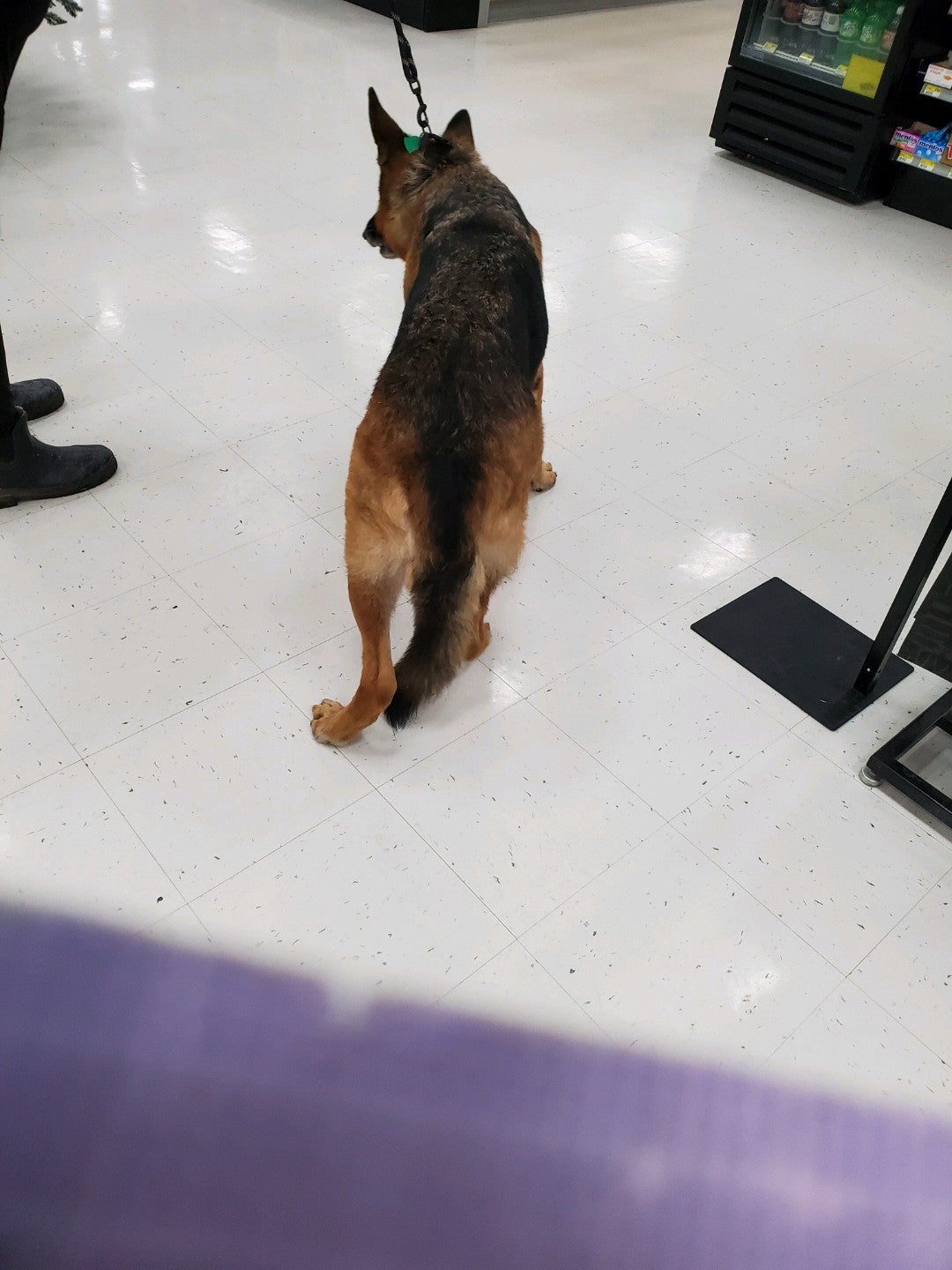 Wilco Farm Store Puyallup, 10409 Canyon Rd E, Puyallup, WA, Pet Shops