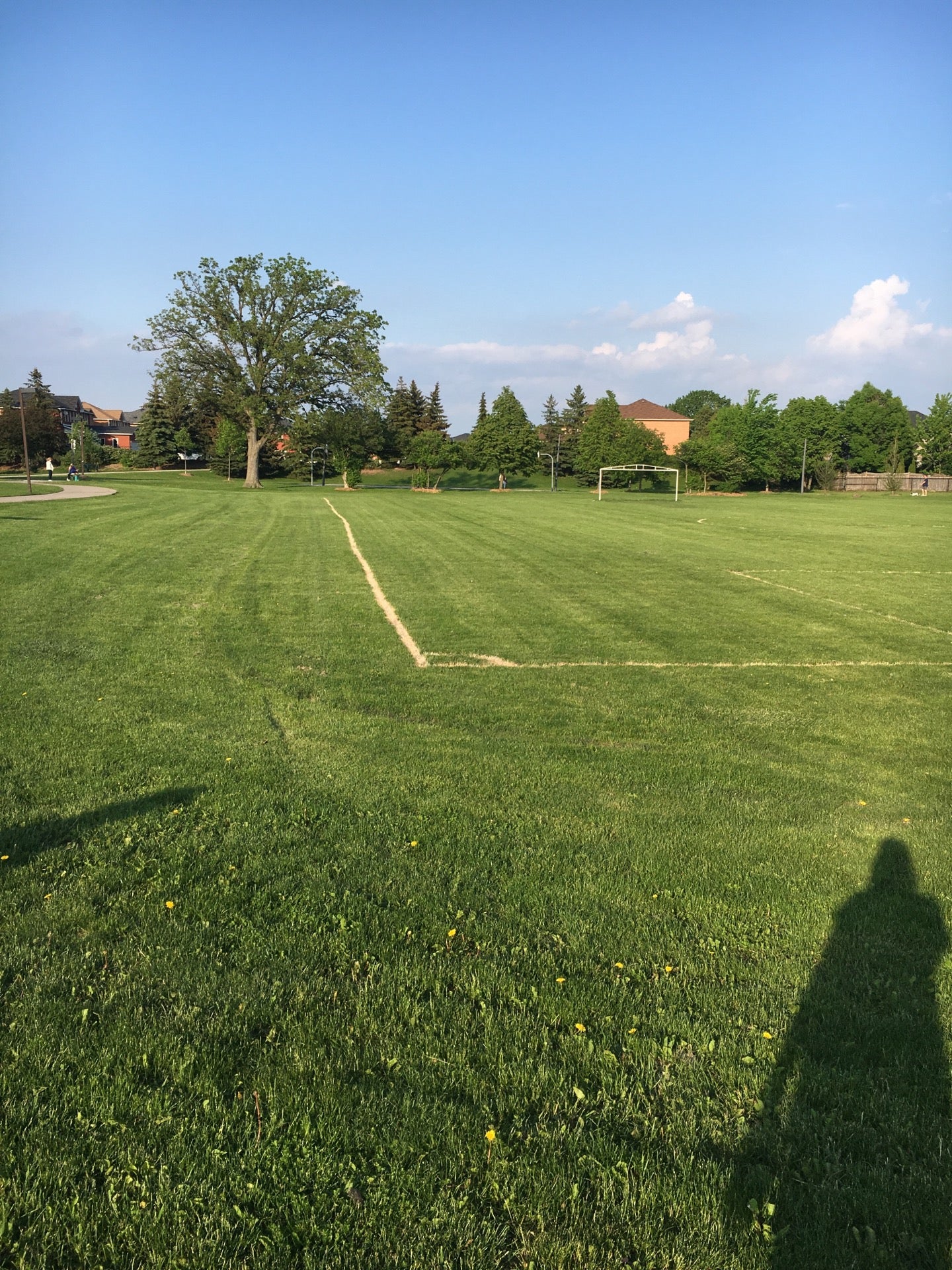 Blue Willow Park & Playgrounds, Vaughan, ON - MapQuest