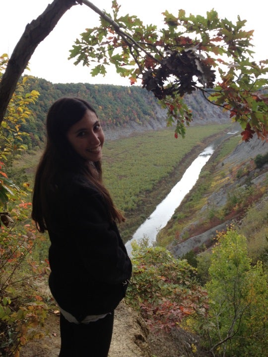 Hogsback Overlook at Letchworth State Park, Castile, NY MapQuest