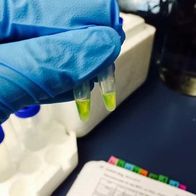 Centre for Blood Research, 2350 Health Sciences Mall, Vancouver, BC