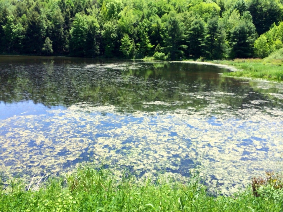 Mount Pisgah State Park, Wetona Rd, West Burlington Twp, PA - MapQuest