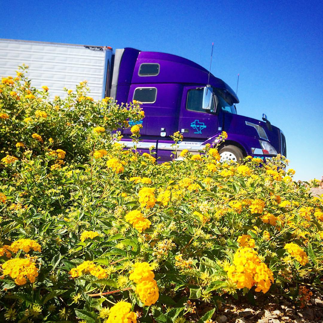 Blue Beacon Truck Wash, 1172 S Sunshine Blvd, Eloy, AZ, Truck wash