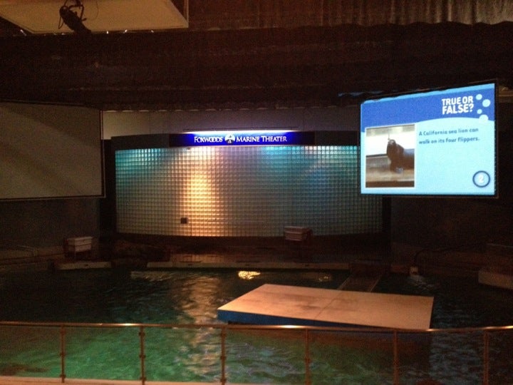 Foxwoods Marine Theater, 55 Coogan Blvd, Mystic, CT, Aquariums Public ...